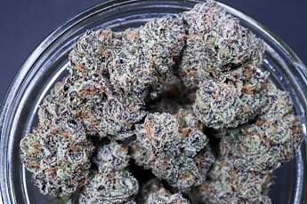 GorillaButterBud